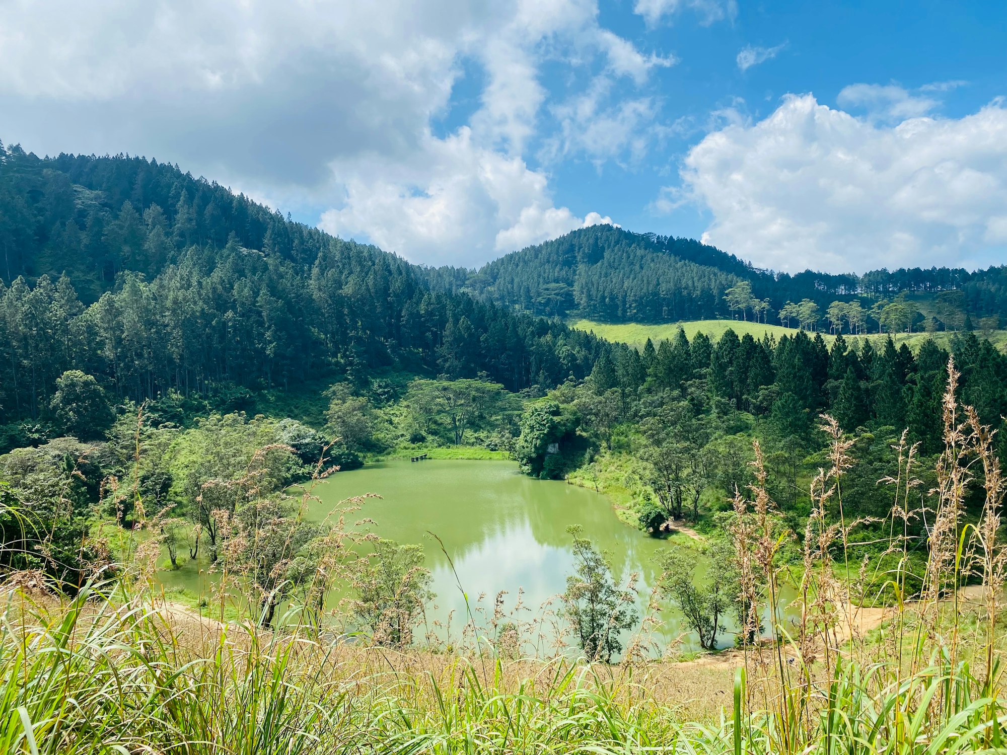 A still green lake below forested hills in Sri Lanka's hill country near Ella.